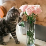 Are Roses Toxic To Cats