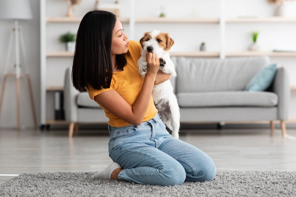 Healthy Dog Treats For Small Dogs